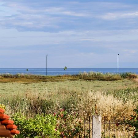 Calma Luxury Apartments #1 Sozopoli In Halkidiki エクステリア 写真