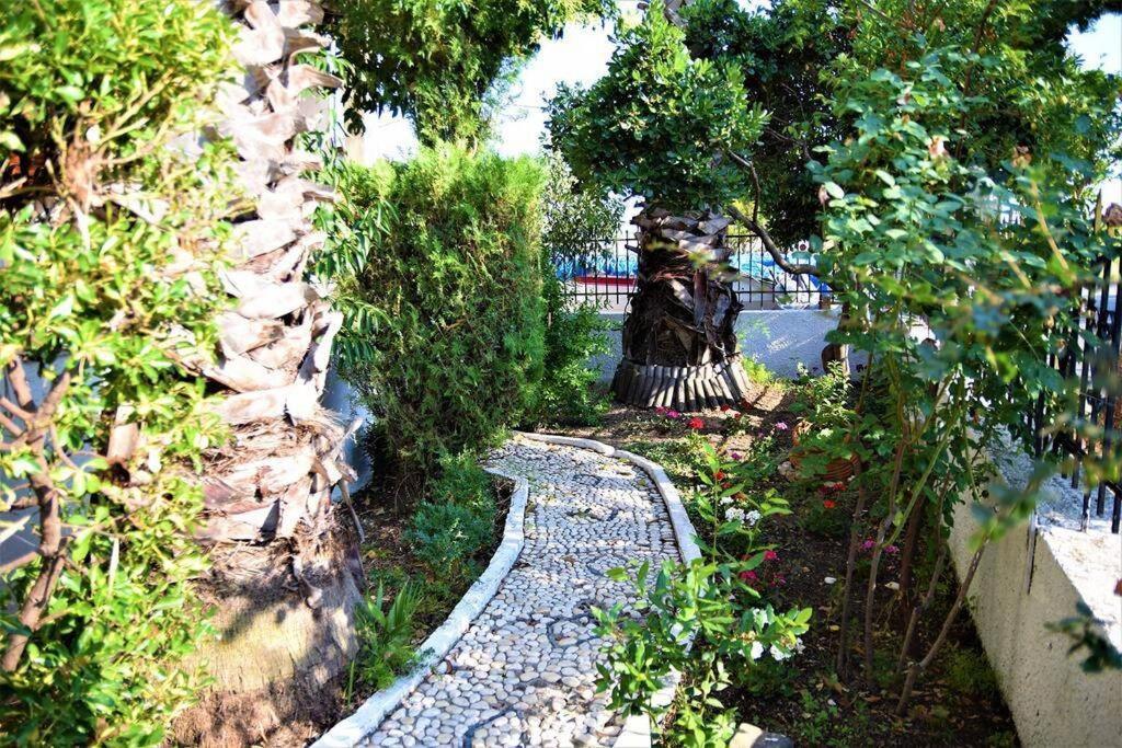 Calma Luxury Apartments #1 Sozopoli In Halkidiki エクステリア 写真