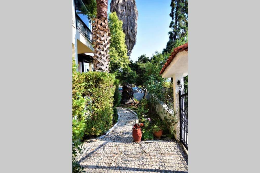 Calma Luxury Apartments #1 Sozopoli In Halkidiki エクステリア 写真