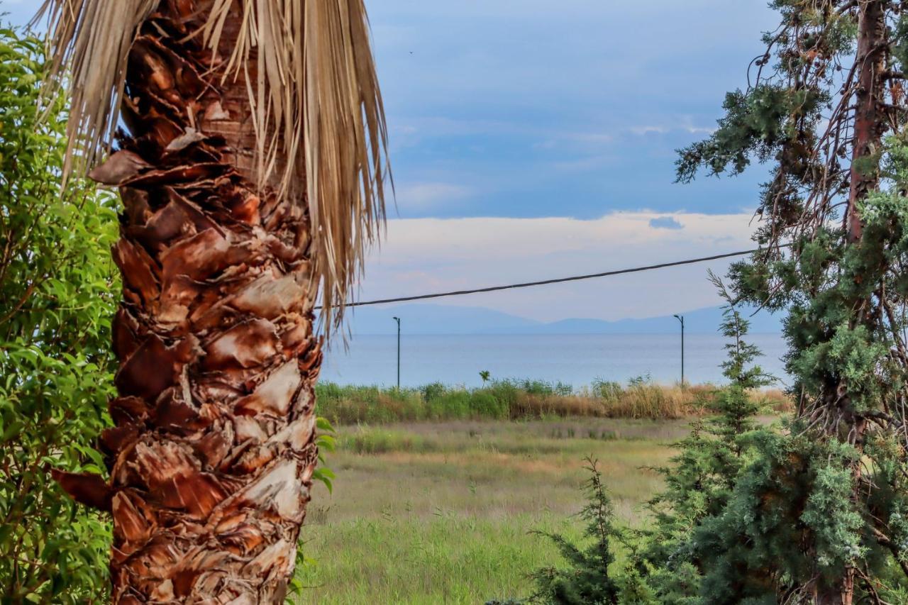 Calma Luxury Apartments #1 Sozopoli In Halkidiki エクステリア 写真